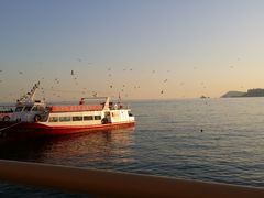 -海云台海滩