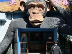 -西安秦岭野生动物园