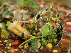 -高坎一品甲鱼庄(两河店)