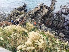 -龙头岩(Dragon Head Rock)