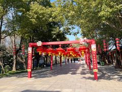 -溱湖国家湿地公园