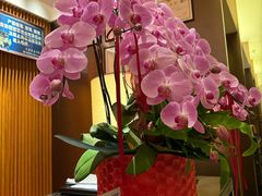 -手佳·水疗汇(杏林宁宝店)