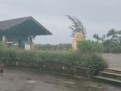 -东寨港红树林旅游区