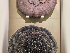 -北京中医药大学-中医药博物馆