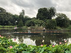 -墨尔本皇家植物园