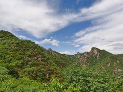 -大岭沟猕猴桃谷风景区