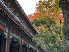 -灵谷景区