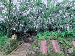 -峨眉山报国寺