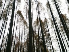 -山王坪喀斯特国家生态公园