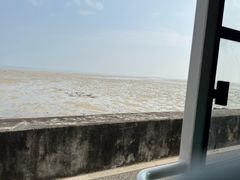 -北海金海湾红树林生态旅游区