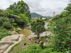 -泉州海丝野生动物世界