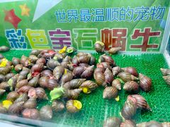 -海合安青岛极地海洋公园