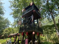 -合肥滨湖国家森林公园