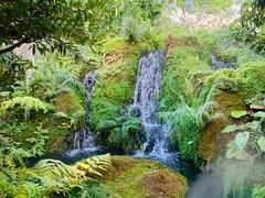 -Chom Cafe and Restaurant