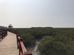-北海金海湾红树林生态旅游区