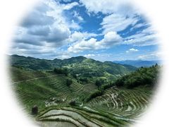-紫鹊界梯田景区