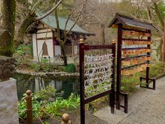 -井之头恩赐公园