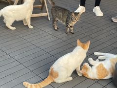 -前叁門