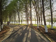 -苏州太湖国家湿地公园