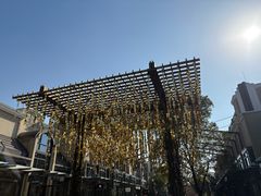 -比斯特上海购物村精品奥特莱斯