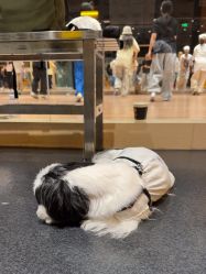 -G-STEPS舞蹈工作室