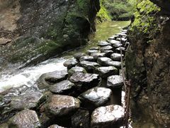 -牛背梁国家森林公园