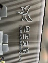 -单色舞蹈