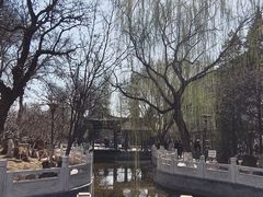 -桃花堤公园