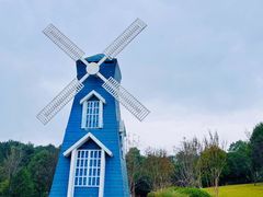 -铁山坪森林公园