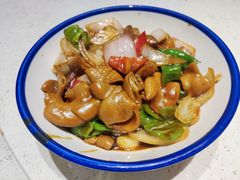 -金锅小厨(乐活街店)
