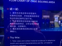 -中国宋庆龄青少年科技文化交流中心