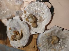 -好伦哥(温都水城店)