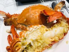 小青龙-半岛听涛蒸汽海鲜自助(K11店)
