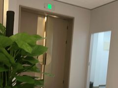 -金熊猫川菜餐厅