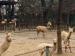 -南昌动物园