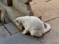 -宝通禅寺