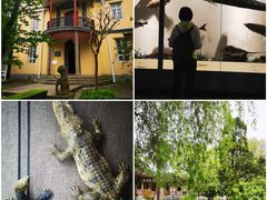 -南通濠河风景名胜区