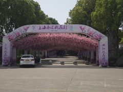 -南汇桃花村