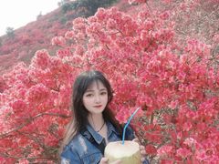 -木兰云雾山