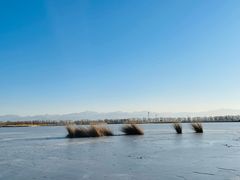 -野鸭湖国家湿地公园