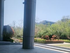 -李沧绿城喜来登酒店大堂吧