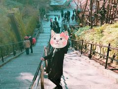 -有栖山 清光院 清水寺