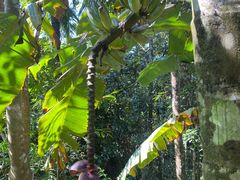 -七仙岭温泉国家森林公园