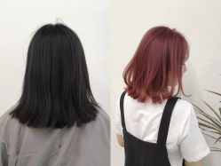 -T8 SALON