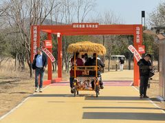 -河姆渡遗址博物馆