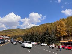 -塞罕坝国家级自然保护区