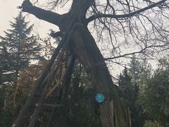 -少华山国家森林公园