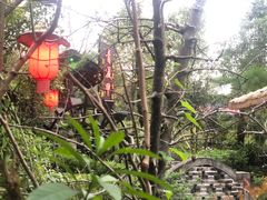 -青城甲(青城山店)