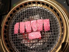 -300杯·和牛烧肉清酒专门店(廊里店)