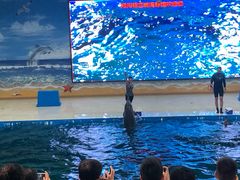 -锦艺城海洋馆